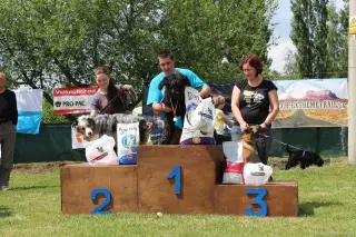 24.5.2014 - Štětský voříšek 2014 – fotografie 334