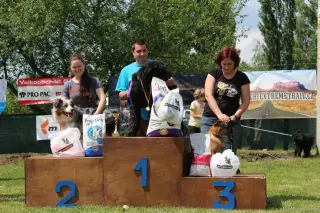 24.5.2014 - Štětský voříšek 2014 – fotografie 335