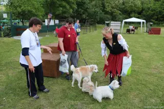 24.5.2014 - Štětský voříšek 2014 – fotografie 343