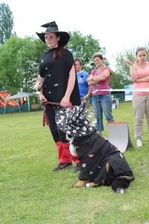 24.5.2014 - Štětský voříšek 2014 – fotografie 366