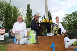 24.5.2014 - Štětský voříšek 2014 – fotografie 381