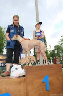 24.5.2014 - Štětský voříšek 2014 – fotografie 382